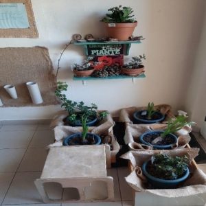 Nido d’infanzia I Giochi di Cipì