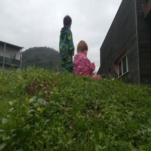 Nido d’infanzia Il Linchetto