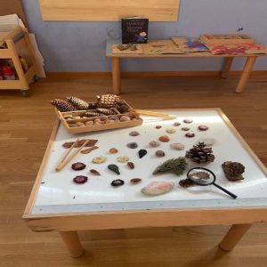 Nido d’infanzia Il Linchetto