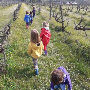 Nido d’infanzia Il Linchetto